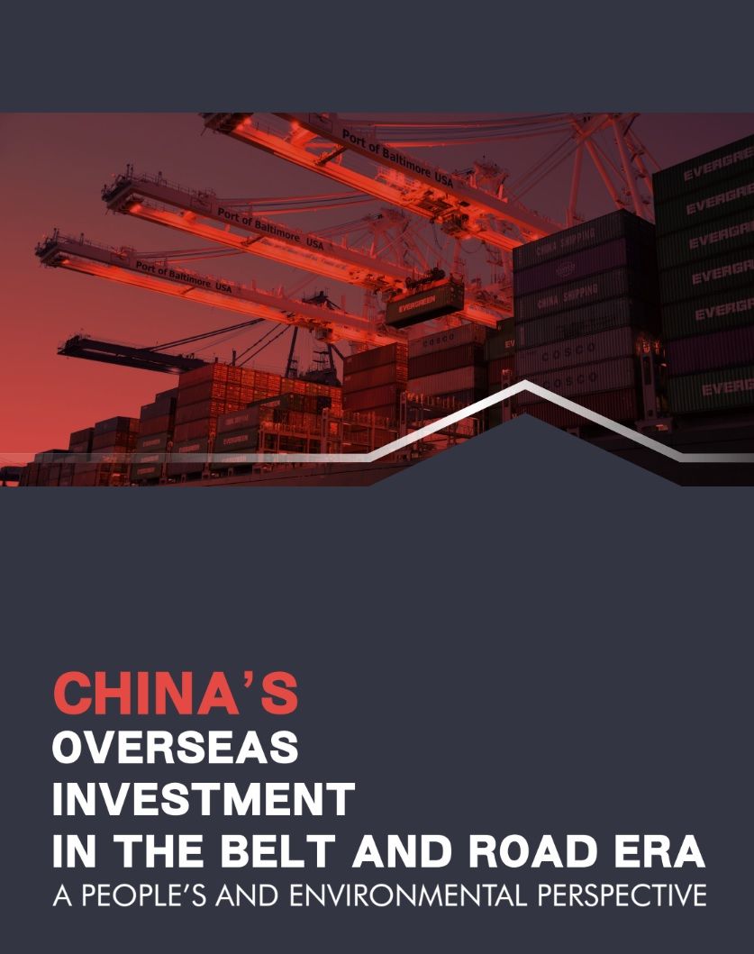 Chinas Auslandsinvestitionen in Zeiten der Belt and Road Initiative